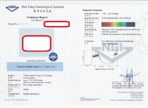 NGI Singapore Certification - For One Item Only Nan Yang Gemological Institute