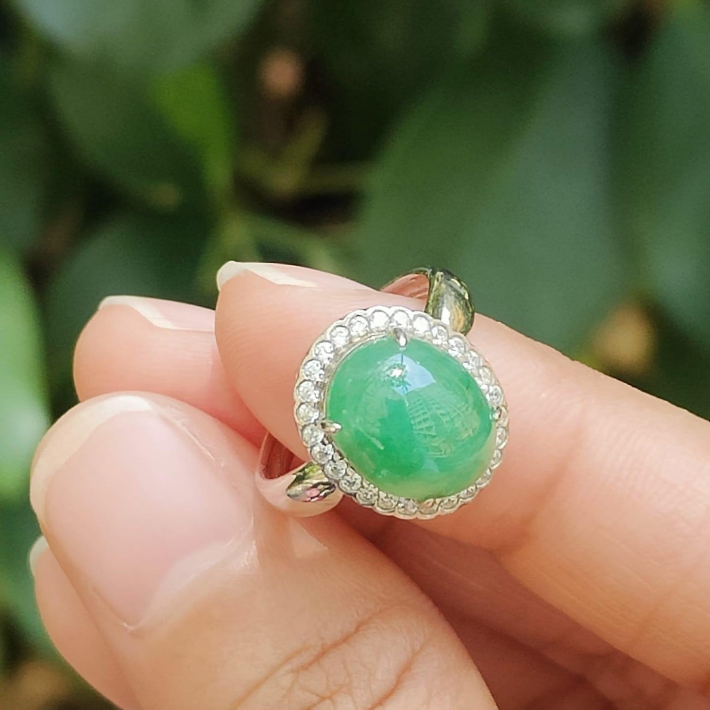 Wood 🌱 & Water 💧 Jadeite Ring - Career Momentum Amplifier (Sku: s925ring36) Yi Pin Qian Jadeites Jade Jewelry ~Your Precious Quintessential ~ Singapore