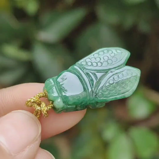 #Sold - Green Cicada crafted on Natural Type A Jadeite Jade as Pendant with SG Local Seller certificate weighs, 4.49 grams, measurement 25.1 * 15 * 6.8 mm (pendant335)