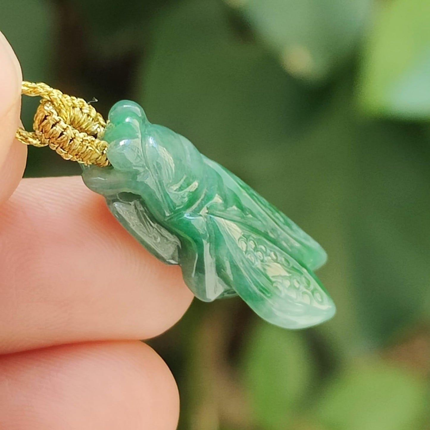 Green Cicada Pendant Natural Type A Jadeite Jade certificate weighs 3.04 grams, measurement 23.4 * 12.3 * 6 mm (pendant390) Yi Pin Qian Jadeites Jade Jewelry ~Your Precious Quintessential ~ Singapore