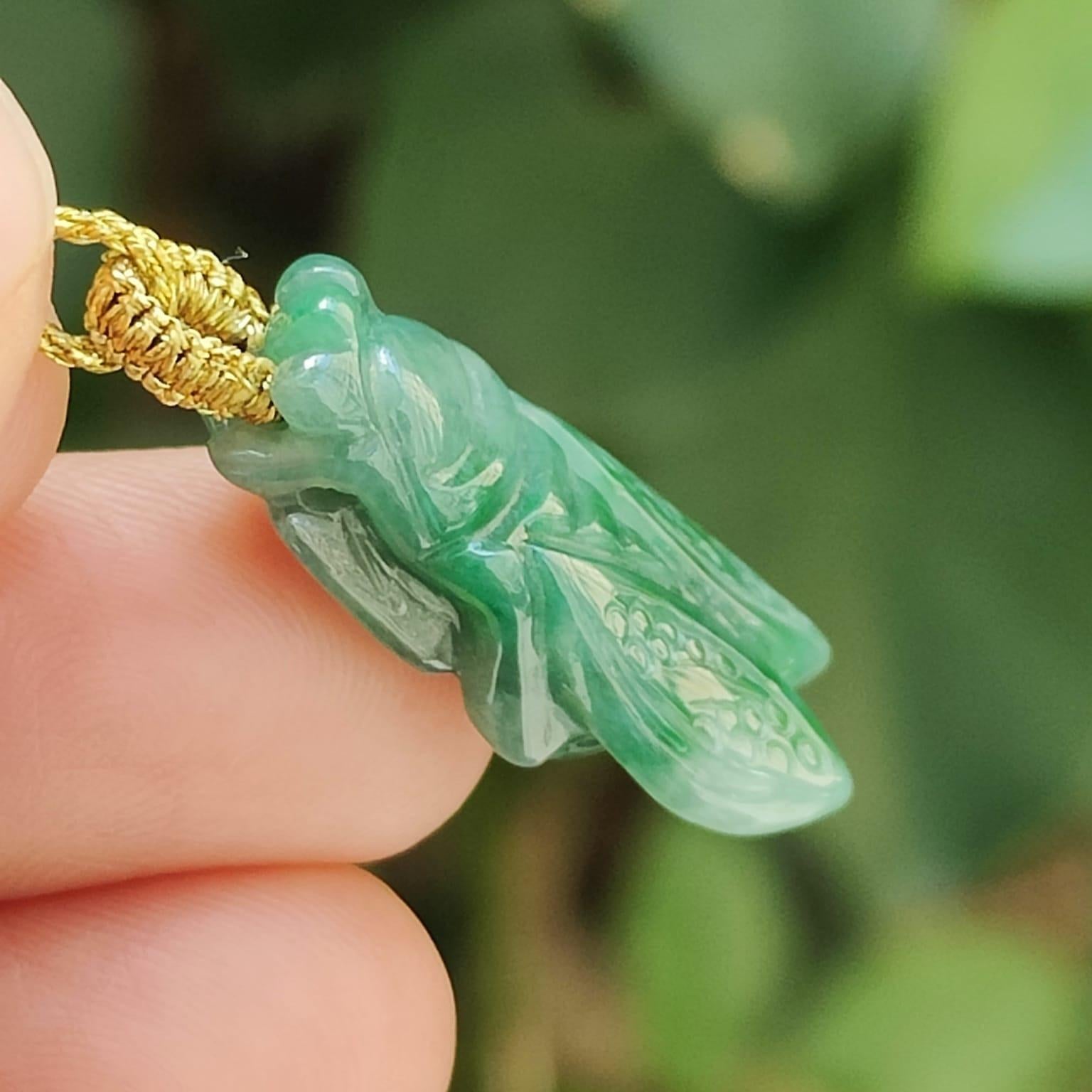 Green Cicada Pendant Natural Type A Jadeite Jade certificate weighs 3.04 grams, measurement 23.4 * 12.3 * 6 mm (pendant390) Yi Pin Qian Jadeites Jade Jewelry ~Your Precious Quintessential ~ Singapore