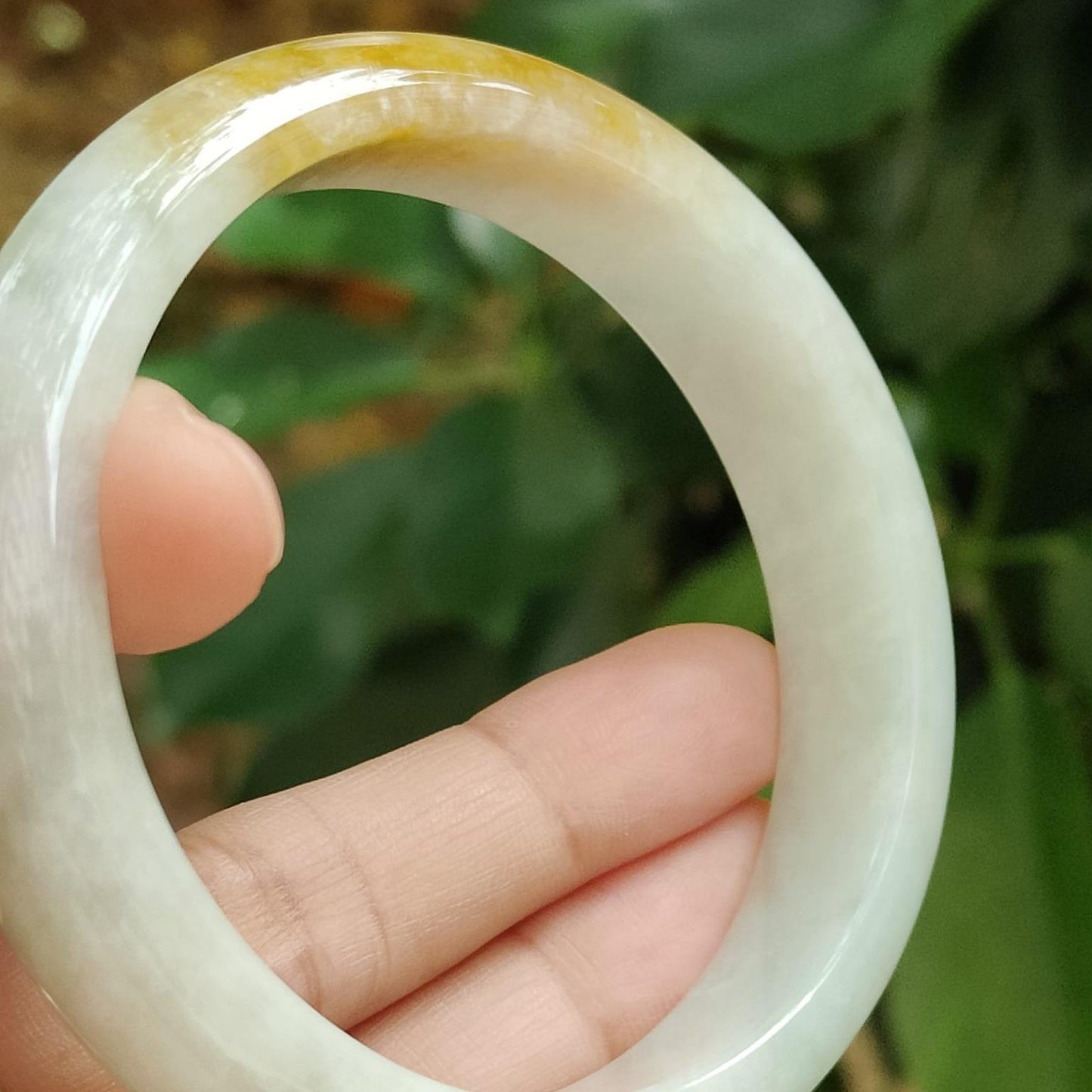 Earth's Embrace Bangle - Amber & Moss Jadeite Jewelry (Sku: bangle33) Yi Pin Qian Jadeites Jade Jewelry ~Your Precious Quintessential ~ Singapore