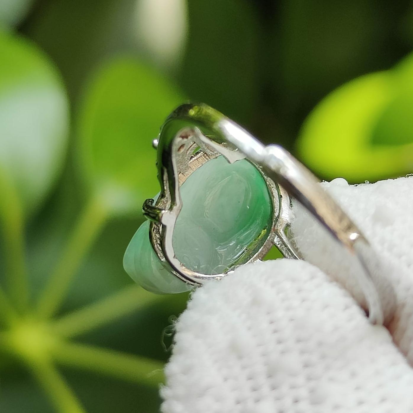 🌿 Elemental Harmony Ring - For All Seekers of Fortune 🌌 - (Sku: S925ring29) Yi Pin Qian Jadeites Jade Jewelry ~Your Precious Quintessential ~ Singapore