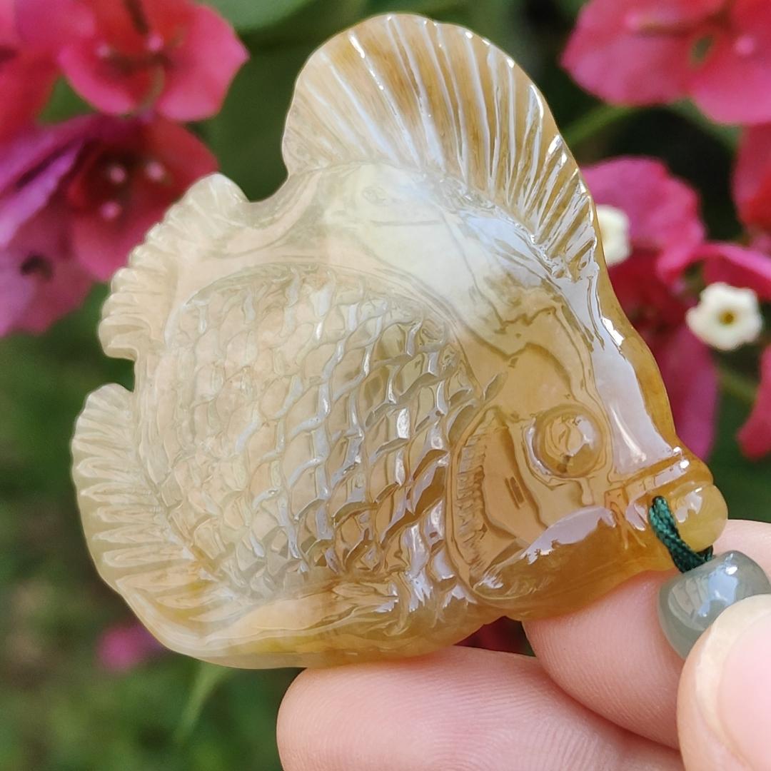 Yellow Natural Type A Jadeite Pendant carved as Fish with certificate weigh 28.33 grams, 55 * 50.2 * 7 mm, meaning Many sons and many blessings, full of children and grandchildren and Life is harmonious and smooth,free from worries and sorrows (pendant77) Yi Pin Qian