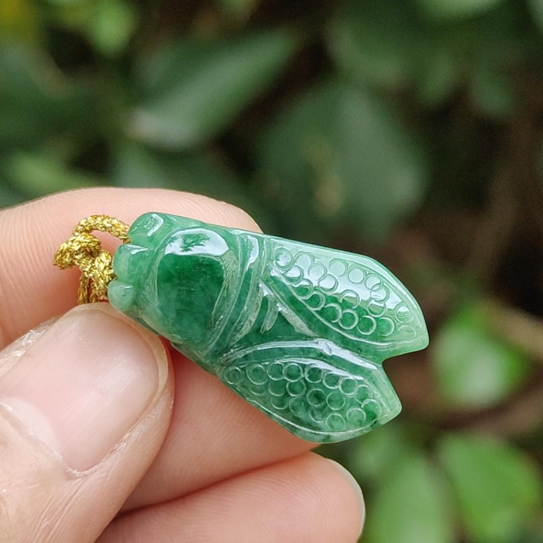 #Sold - Green Cicada crafted on Natural Type A Jadeite Jade as Pendant with SG Local Seller certificate weighs, 4.49 grams, measurement 25.1 * 15 * 6.8 mm (pendant335)