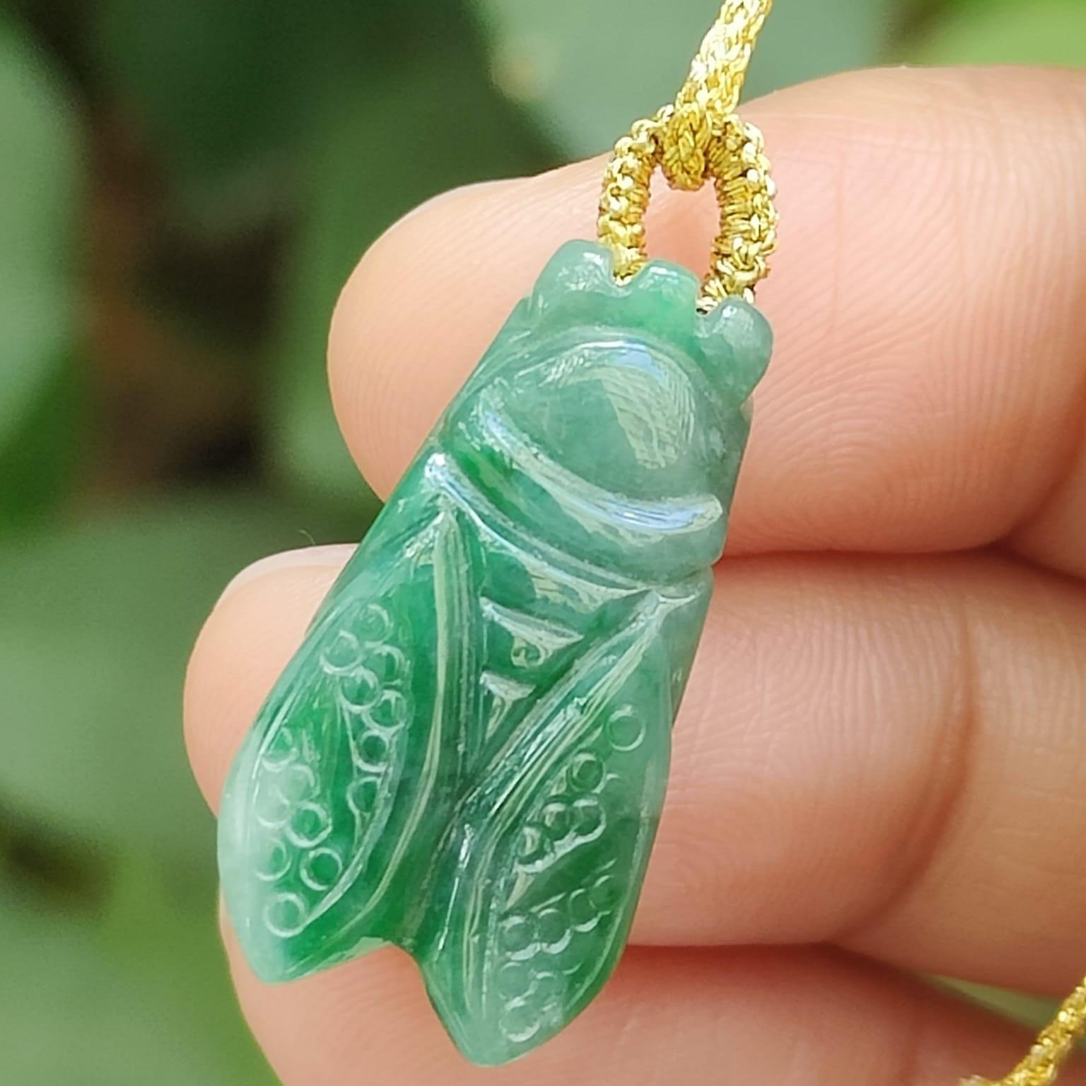 Green Cicada Pendant Natural Type A Jadeite Jade certificate weighs 3.04 grams, measurement 23.4 * 12.3 * 6 mm (pendant390) Yi Pin Qian Jadeites Jade Jewelry ~Your Precious Quintessential ~ Singapore