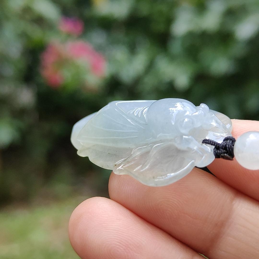 Crafted as cicada using Natural Type A Jadeite Jade as a Pendant Necklace with certificate weigh 9.25 grams, measurement 40.3 * 23.2 * 9.5 mm (pendant185) Yi Pin Qian