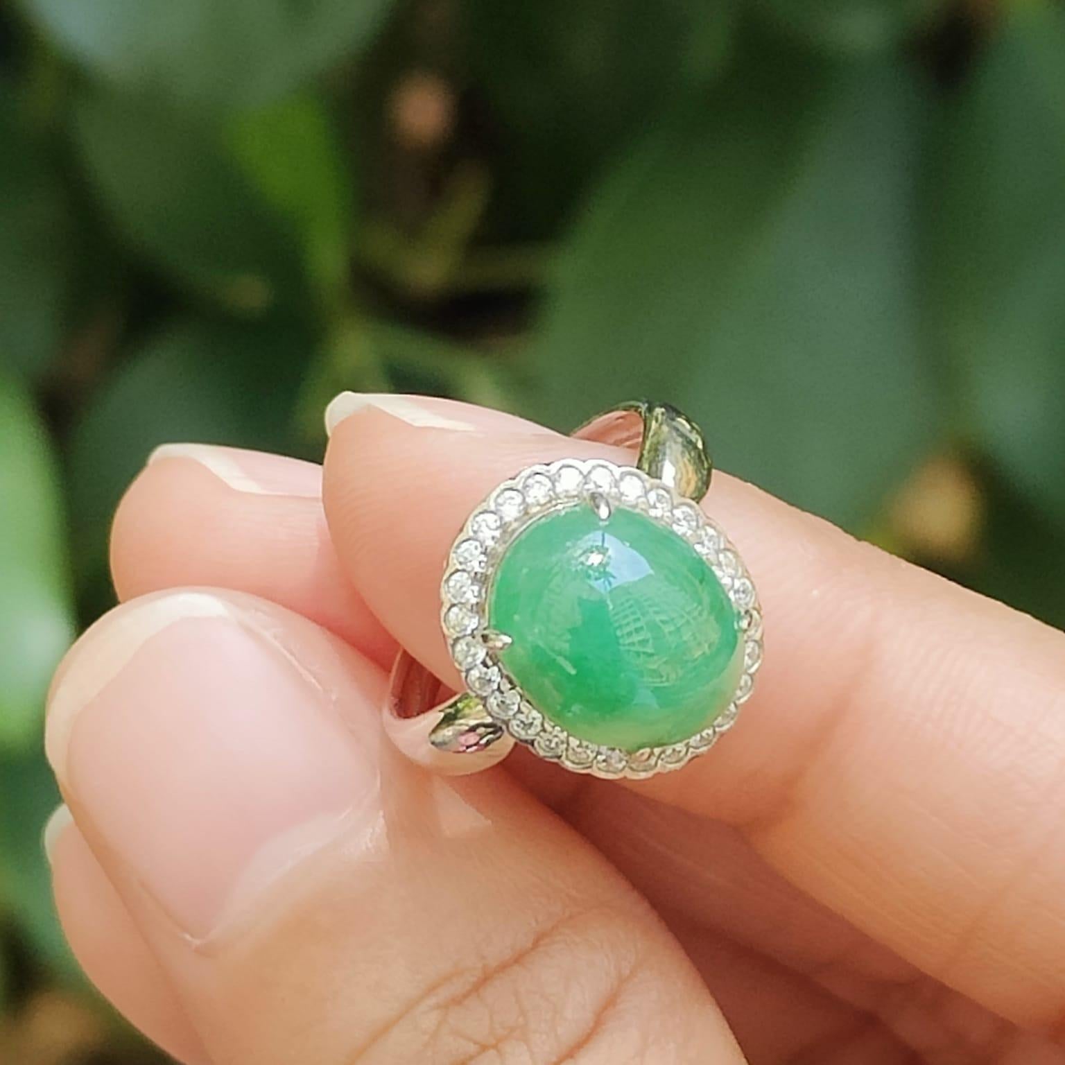 Wood 🌱 & Water 💧 Jadeite Ring - Career Momentum Amplifier (Sku: s925ring36) Yi Pin Qian Jadeites Jade Jewelry ~Your Precious Quintessential ~ Singapore