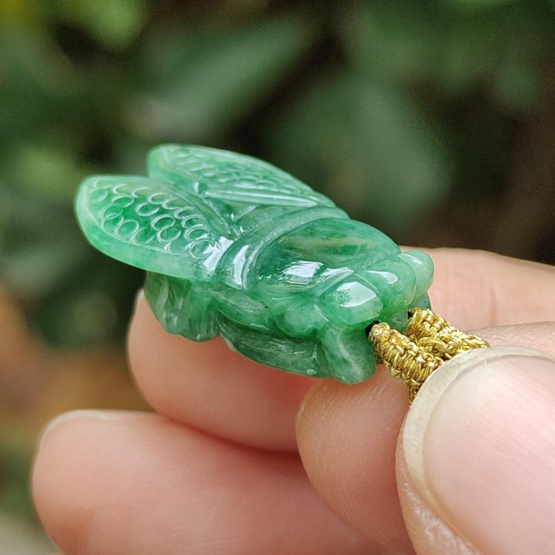 #Sold - Green Cicada crafted on Natural Type A Jadeite Jade as Pendant with SG Local Seller certificate weighs, 4.49 grams, measurement 25.1 * 15 * 6.8 mm (pendant335)