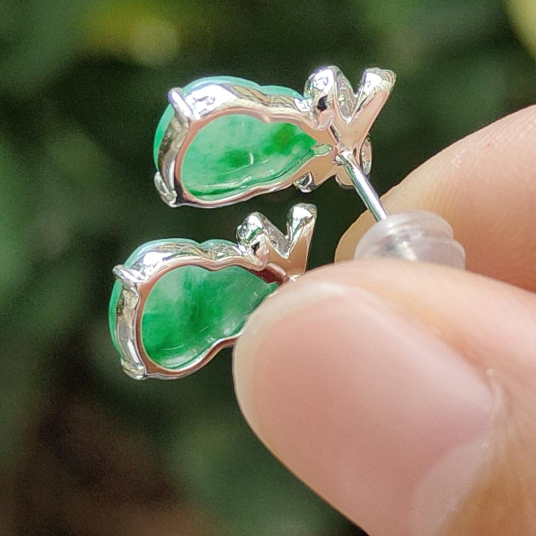 High Quality Light Green with Green Patches crafted as one pair of Gourd on Natural Type A Jadeite Jade as Stud Earrings Certificate weighs 2.38 grams (18k01) Yi Pin Qian Jadeites Jade Jewelry ~Your Precious Quintessential ~ Singapore