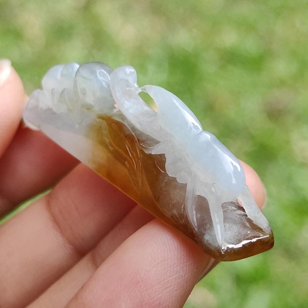 Strive for the top with this Beetle and Ant crafted using Burmese Natural Type A Jadeite Jade Jewellery as Pendant with QIC labs approved certificate weighs 9.49 grams, measurement 43.8 * 15.3 * 8.8 mm (pendant317) Yi Pin Qian Jadeites Jade Jewelry ~Your Precious Quintessential ~ Singapore